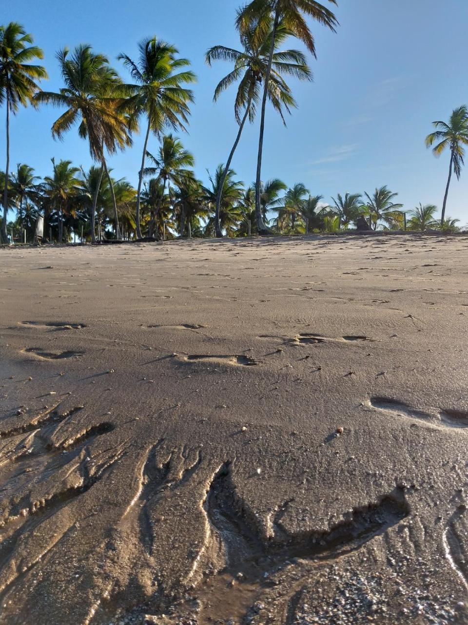 Pousada Vida Mar Barra Grande (Bahia)